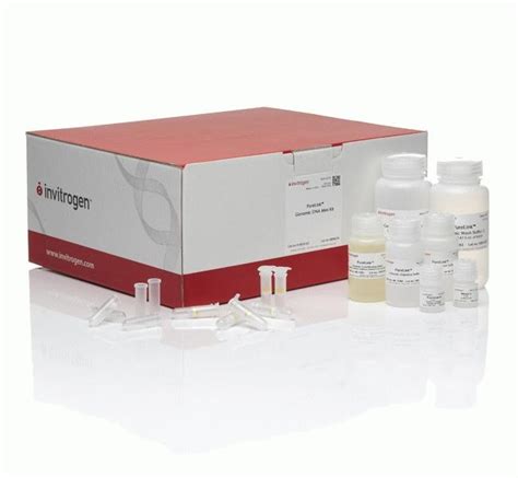 purelink genomic dna mini kit.